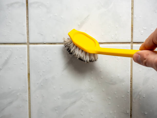 Best Emergency Mold Removal  in Genola, UT