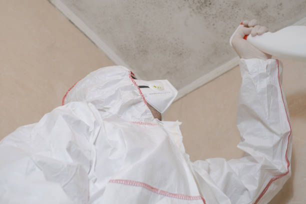 Best Mold Testing  in Genola, UT
