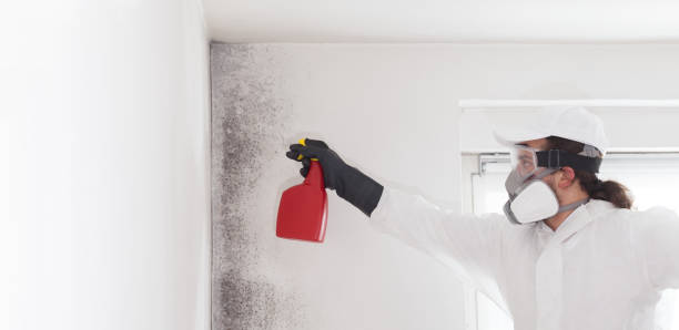 Best Professional Mold Removal  in Genola, UT