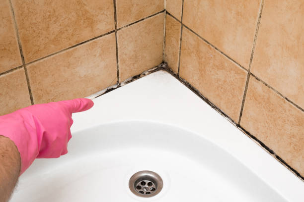 Best Crawl Space Mold Removal  in Genola, UT